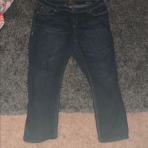 Melissa McCarthy Seven classic straight jeans